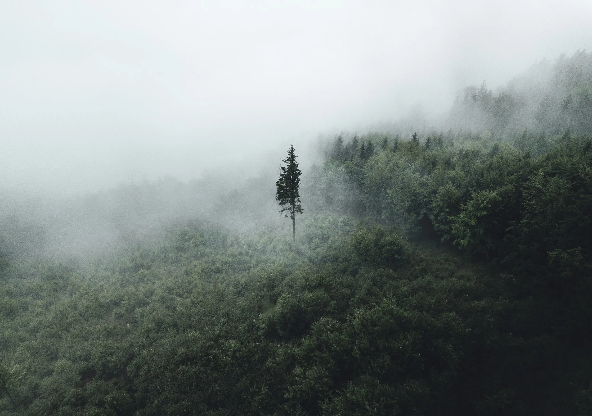michal-sadowski-oRdJjO7dv7Y-unsplash.jpg
