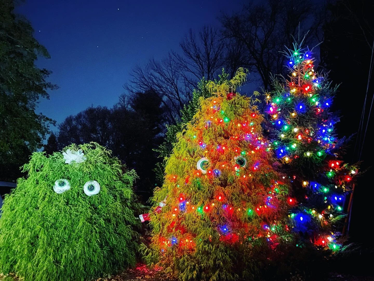 Happy Holiday wishes to all!