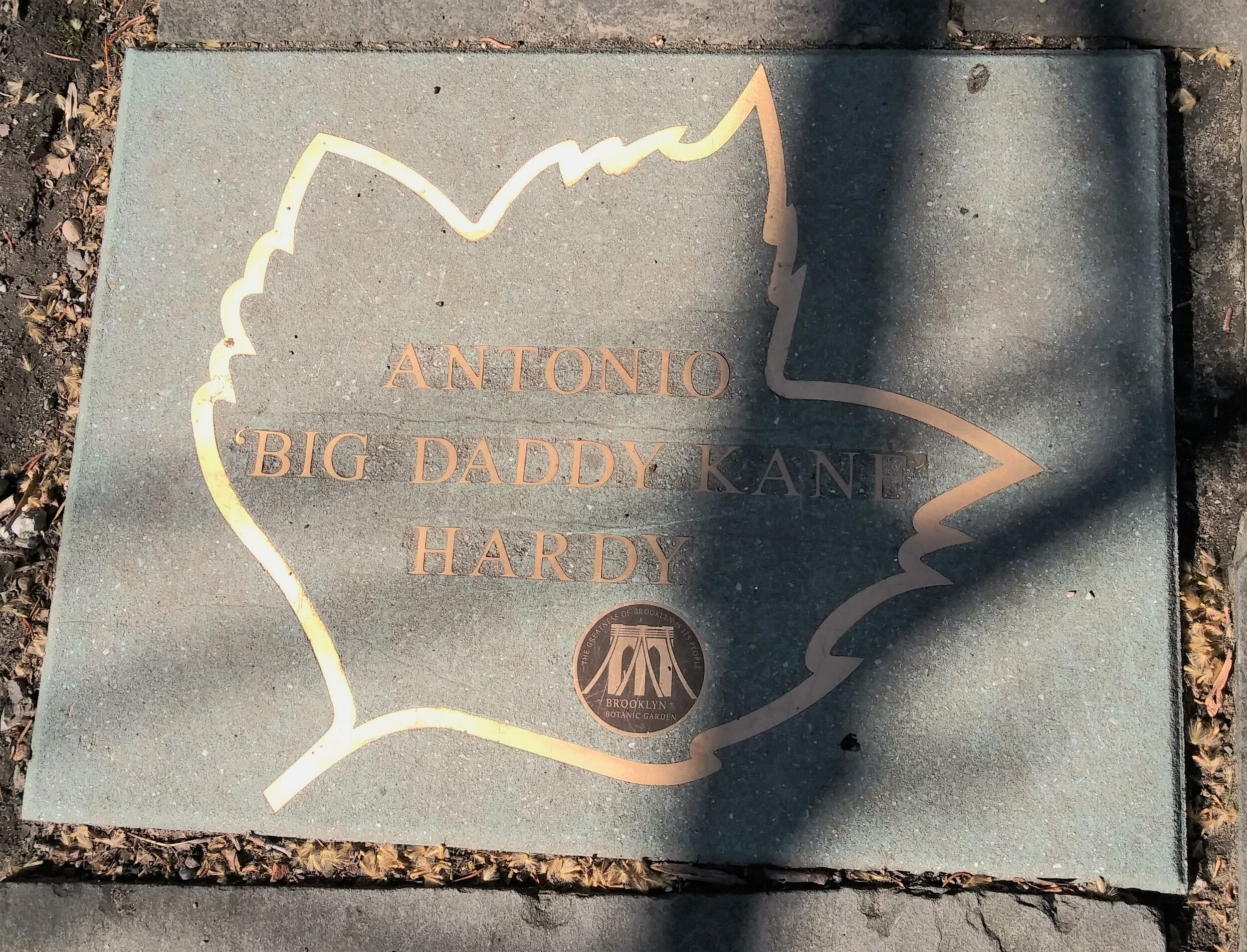 Big Daddy Kane.jpg