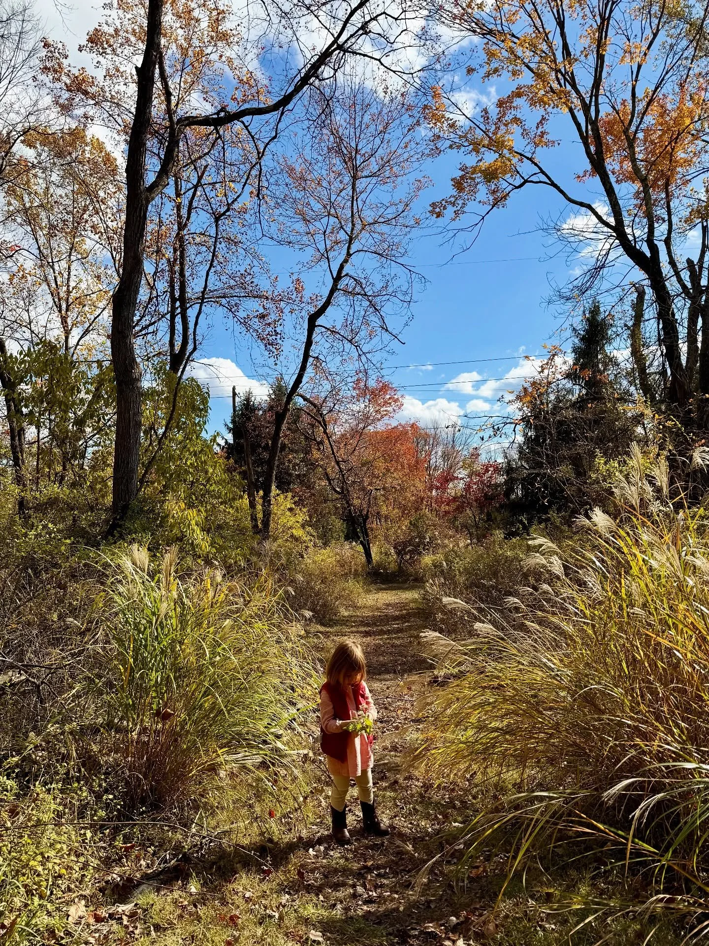 Fall musings ~ a mix of work, play and everyday magic 🍁🎀👻

#watercolorillustration #creativeprocess #customstationery #natureinspired #fallvibes #fallinspo #cozydays #thelandofla