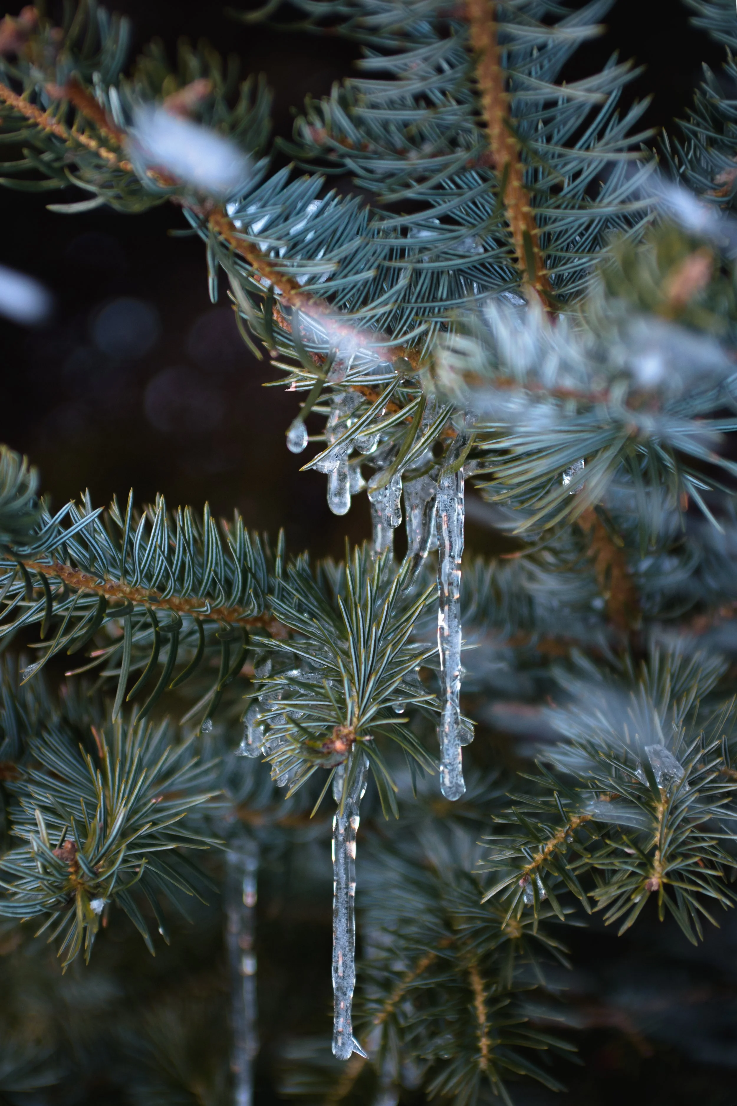 Ιανουάριος