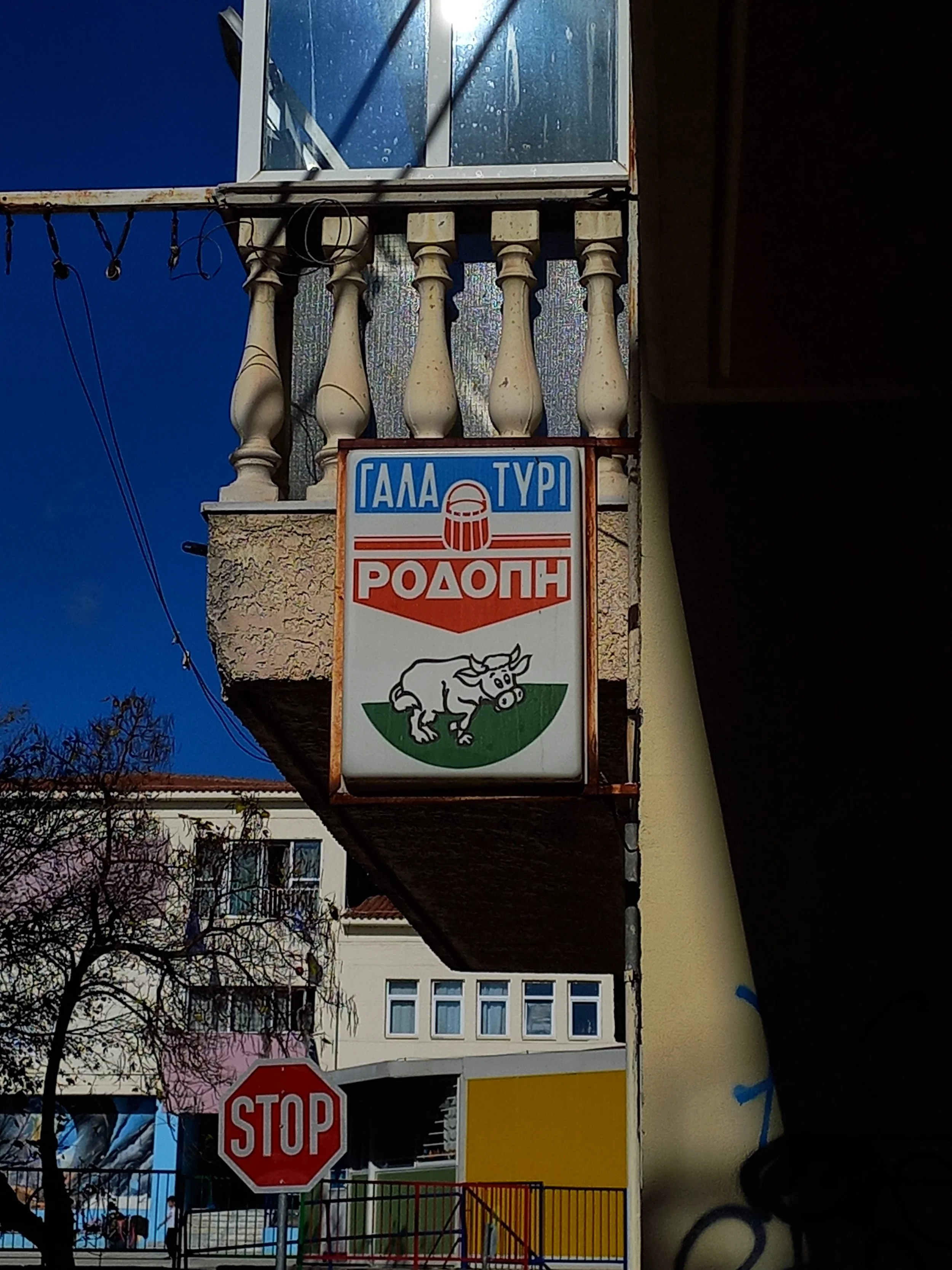 Μαρία Κοφινάκη 