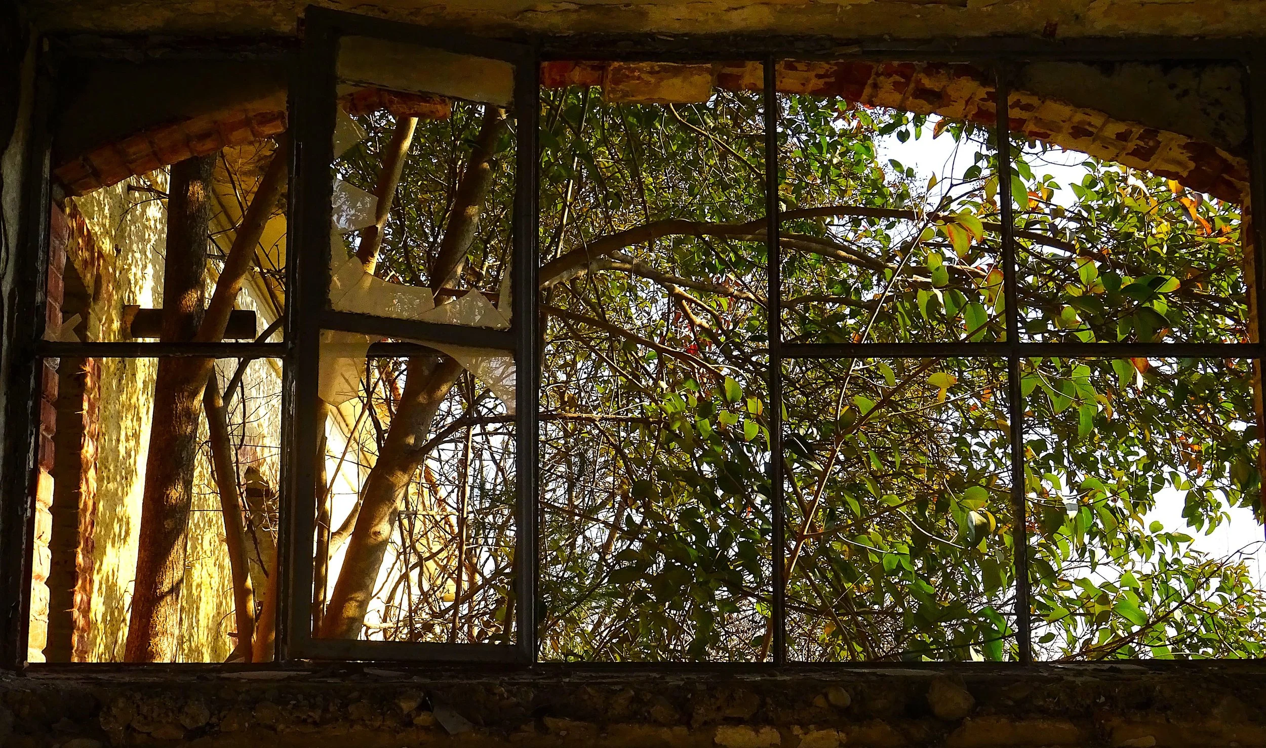 Θοδωρής Σκορδάς