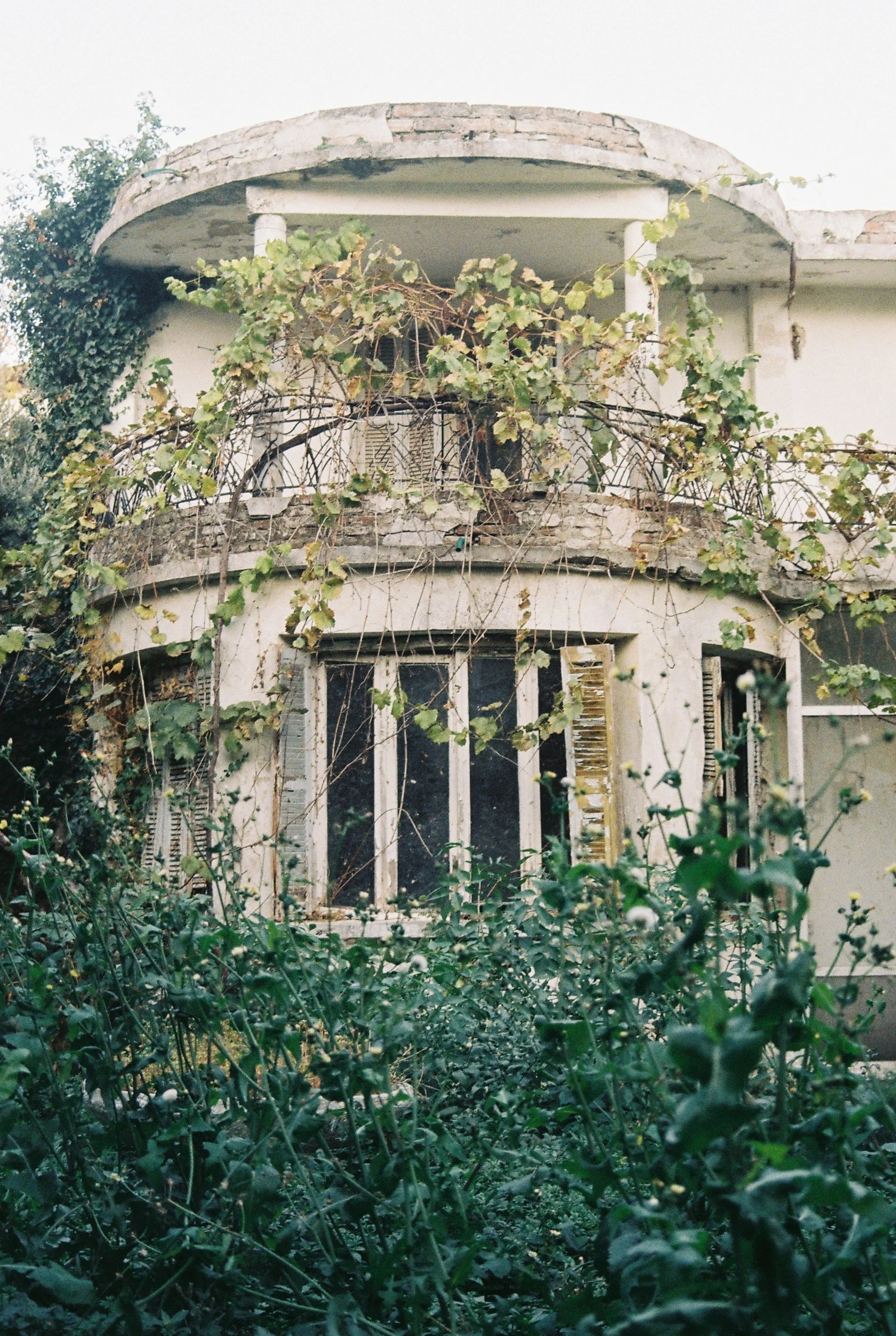 Αλεξάνδρα Βράνου