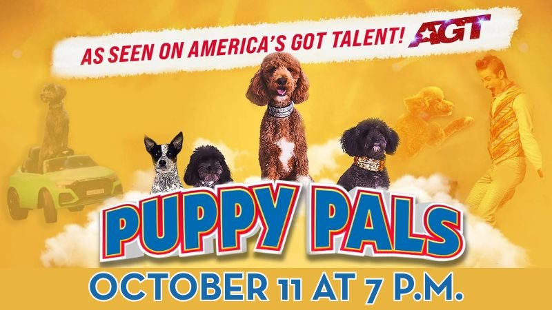Puppy Pals Banner