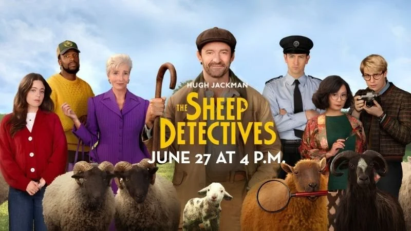 Sheep Banner