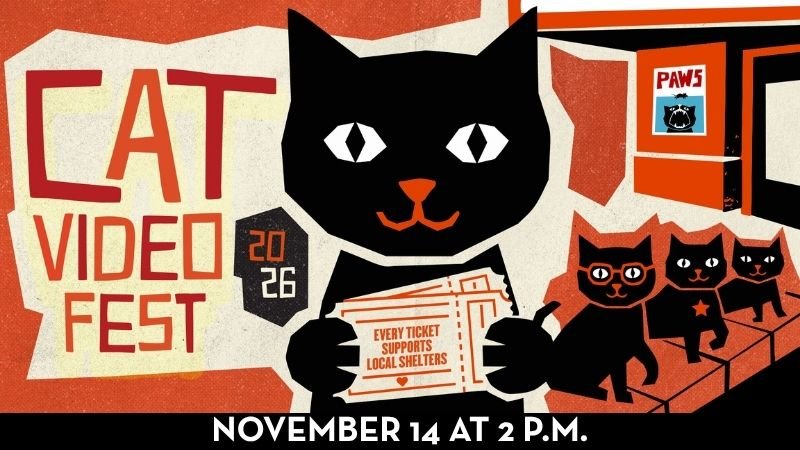Cat Video Fest Banner 2026