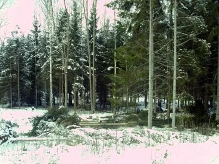 Januari 2009