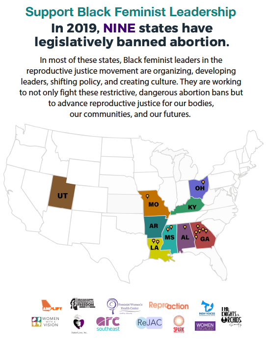 BFF- Abortion Ban Map only.png