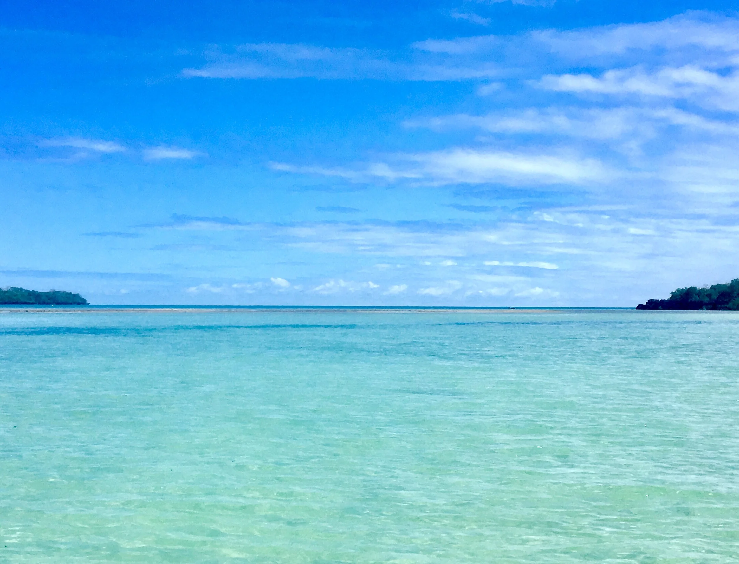 I am a Conservationist.