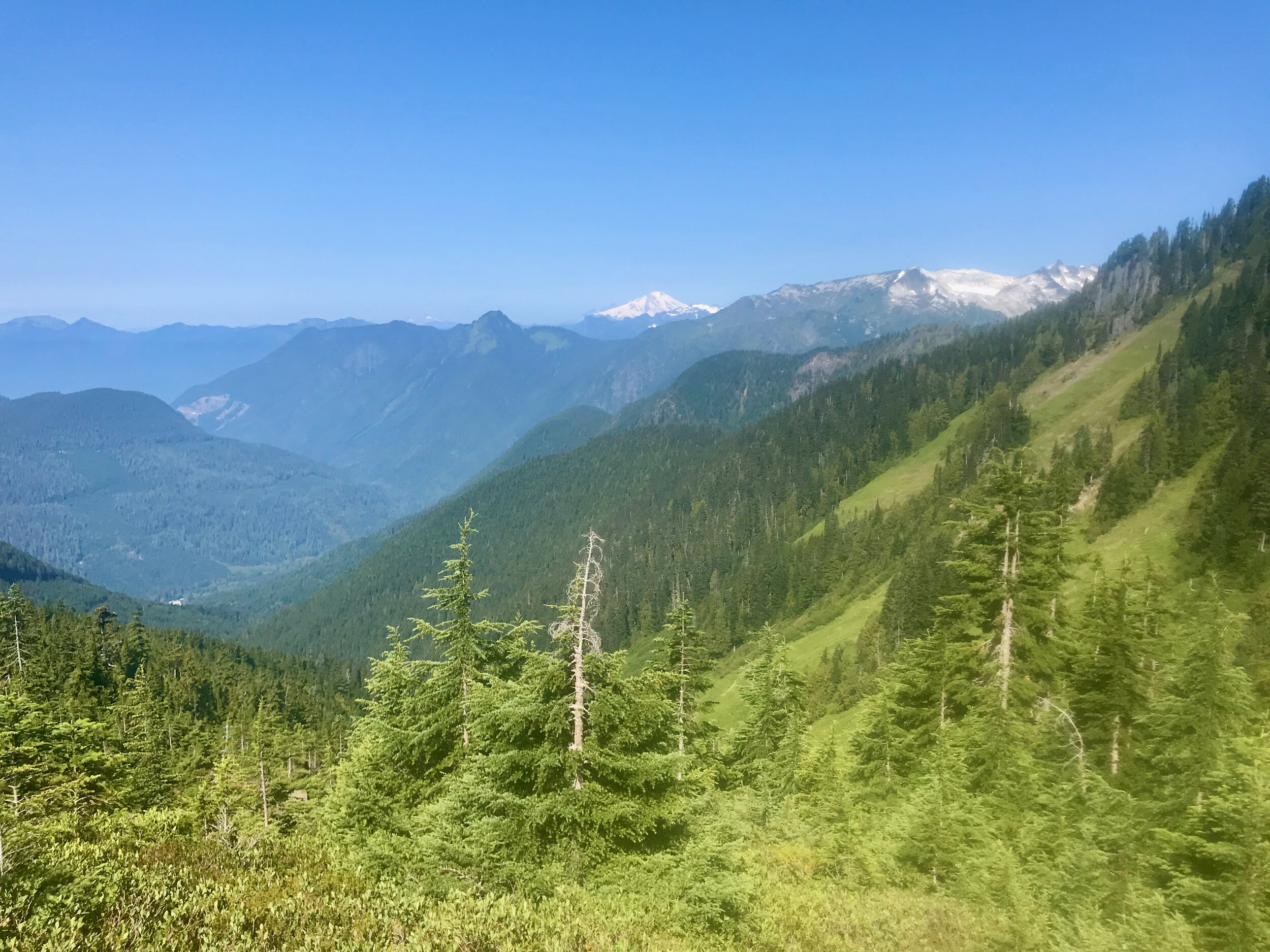 Life Isn't Canceled! 