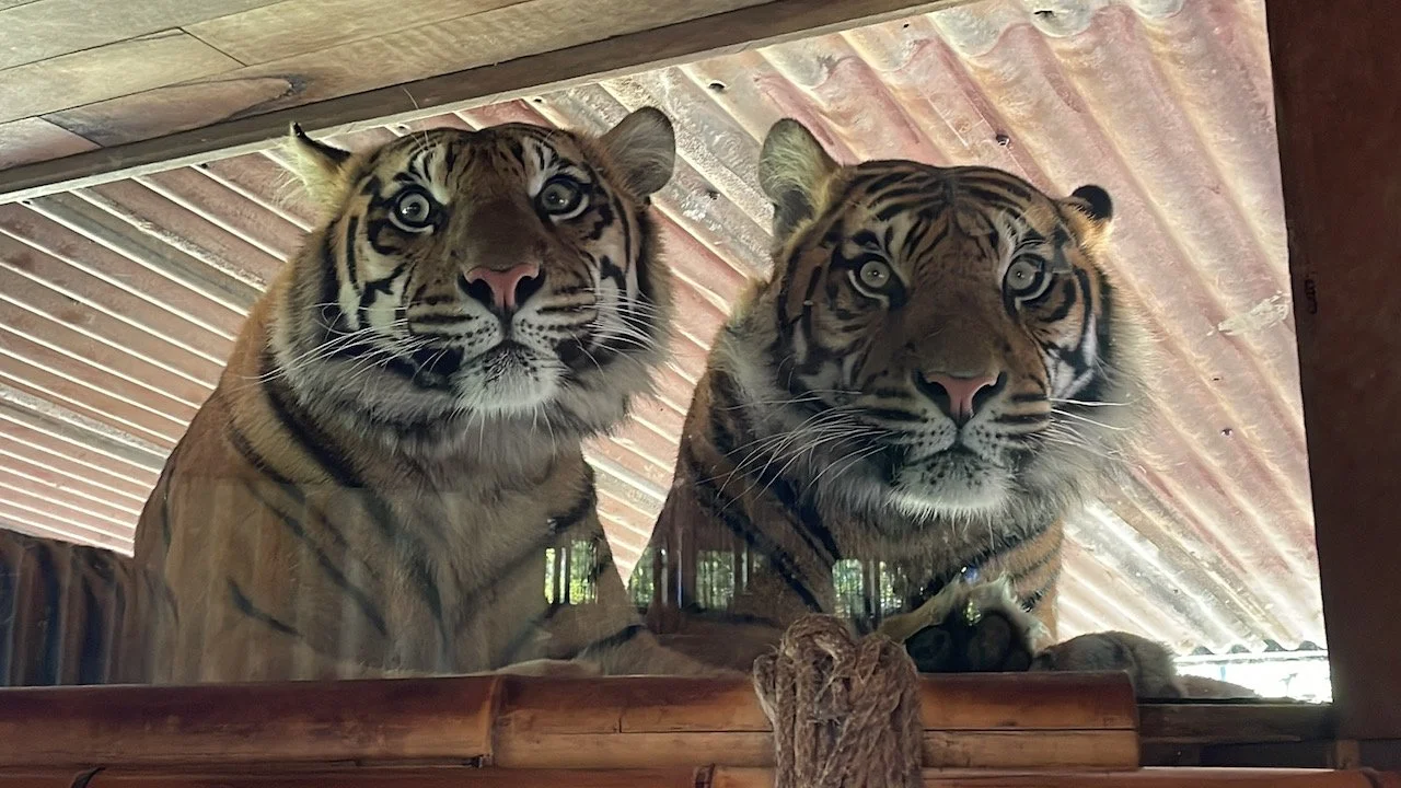 Simplify Your To-Do List with the 80/20 Rule