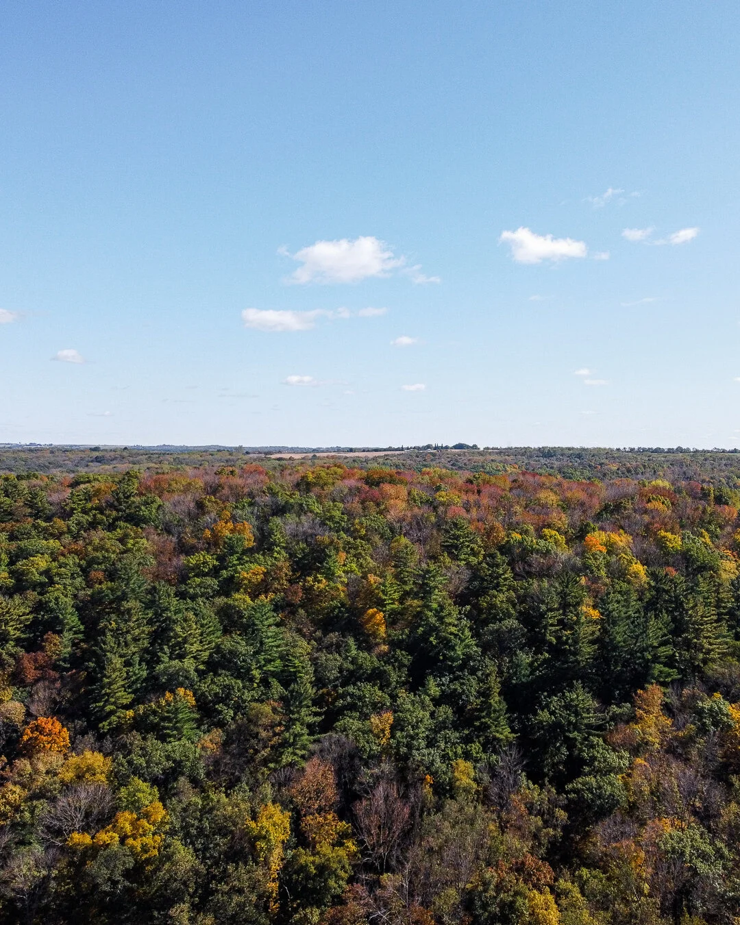 DJI_0152.jpg