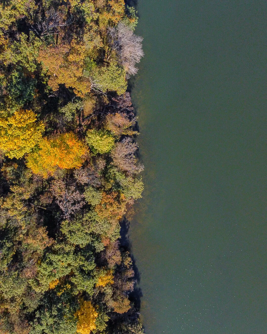 DJI_0184.jpg