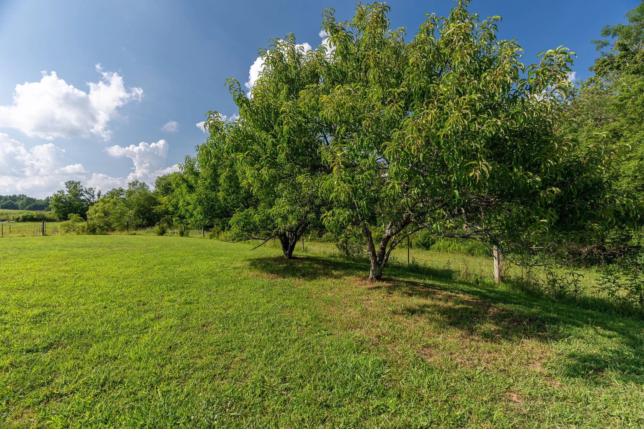 _DSC3012-HDR.jpg