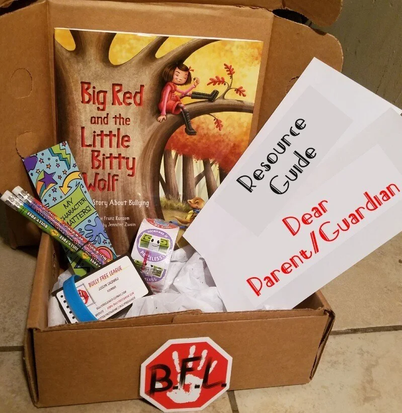 Bullying/Aggressor Box