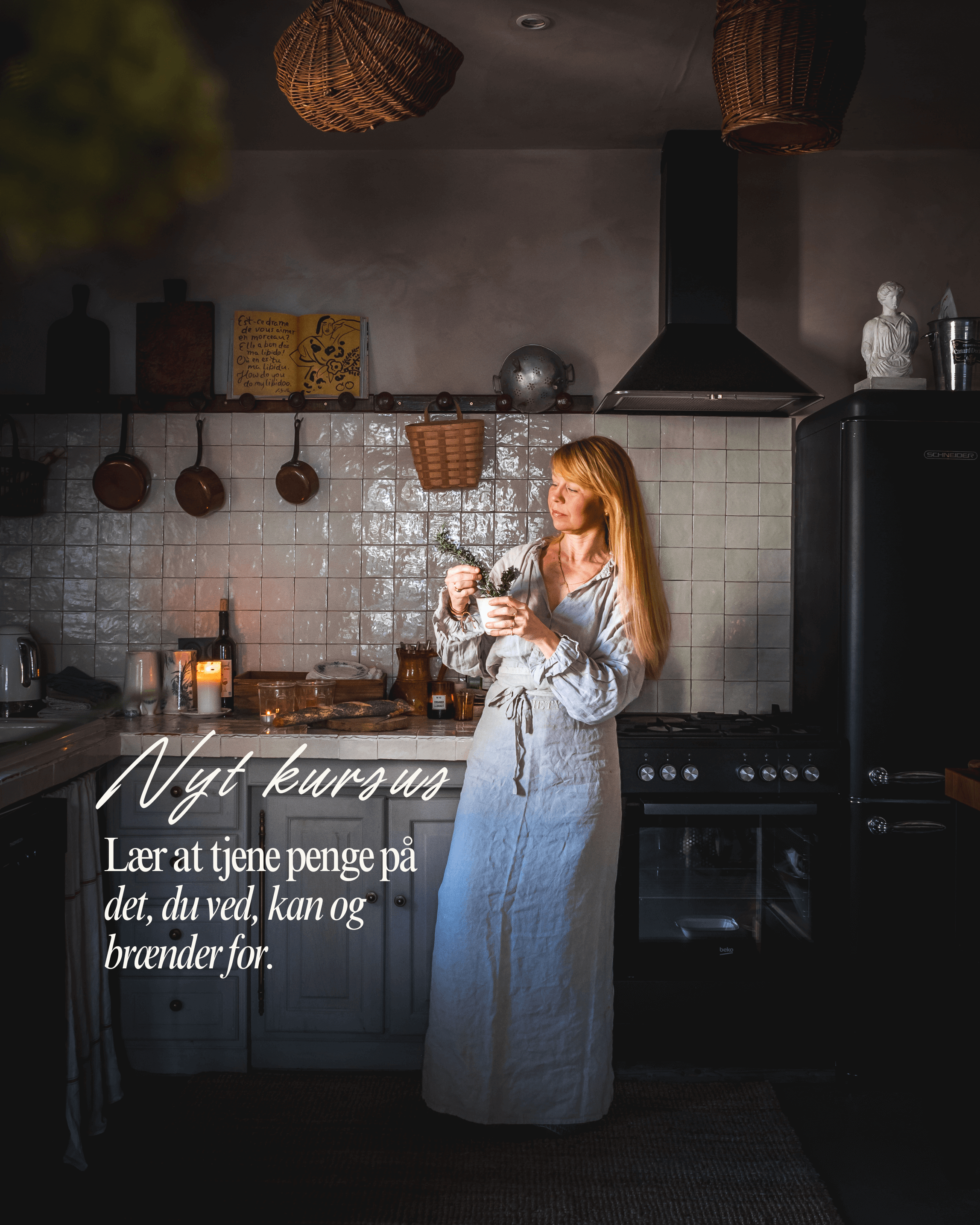 Tjen penge på din viden og passion -  juleworkshop!