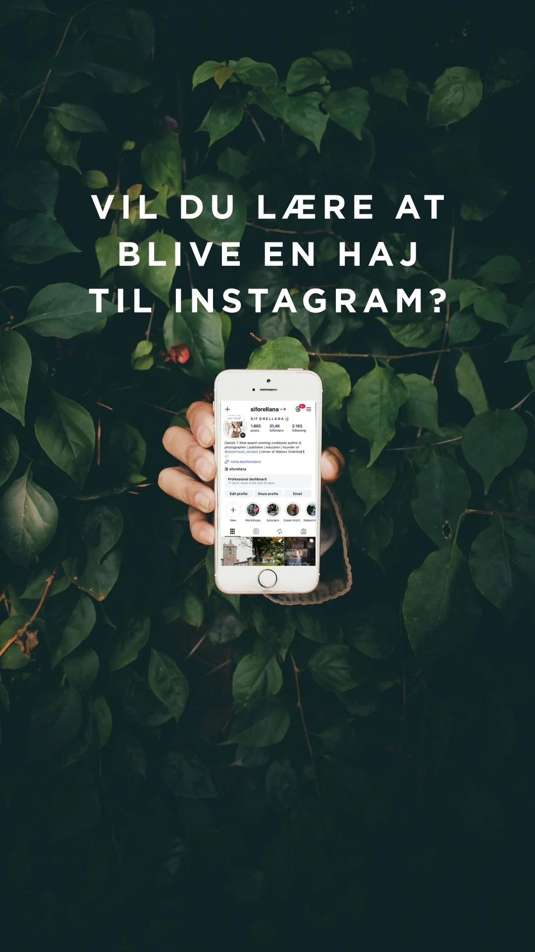 Instagram-workshop i Latinerkvarteret i Aarhus 7. eller 22. februar 2026