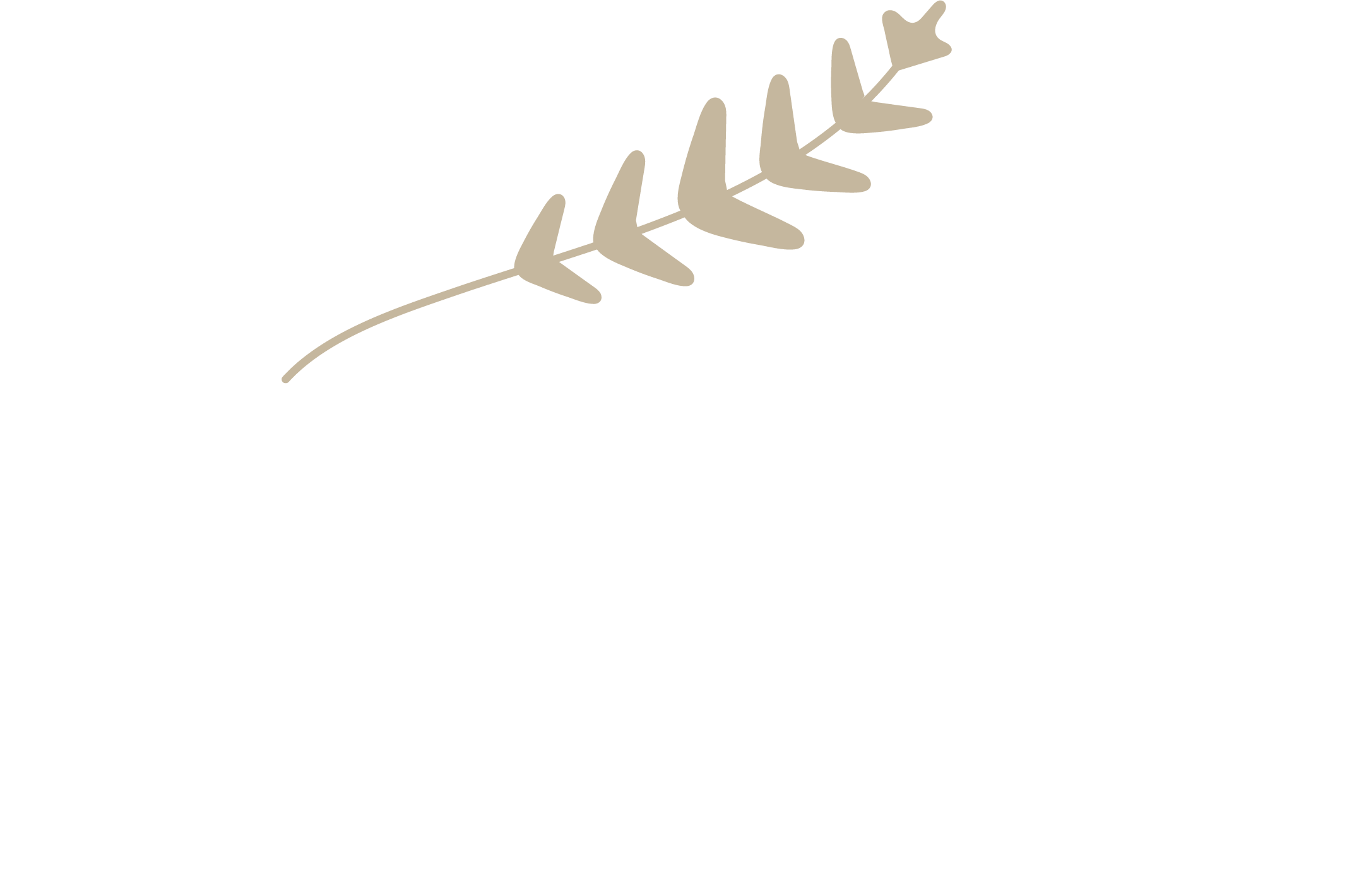 Carrie Lane Massage