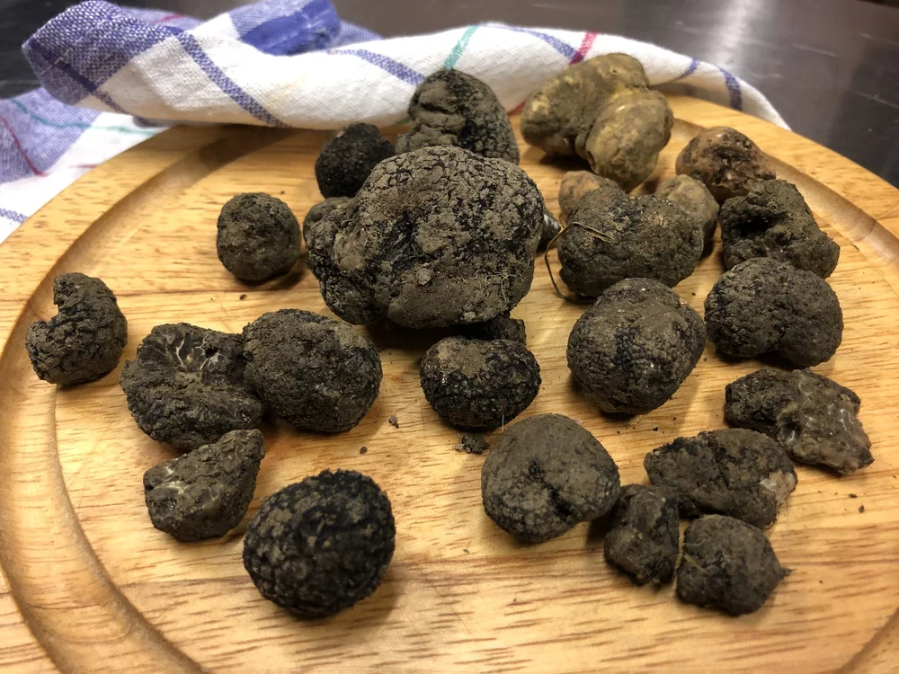 Truffles at Talacchio