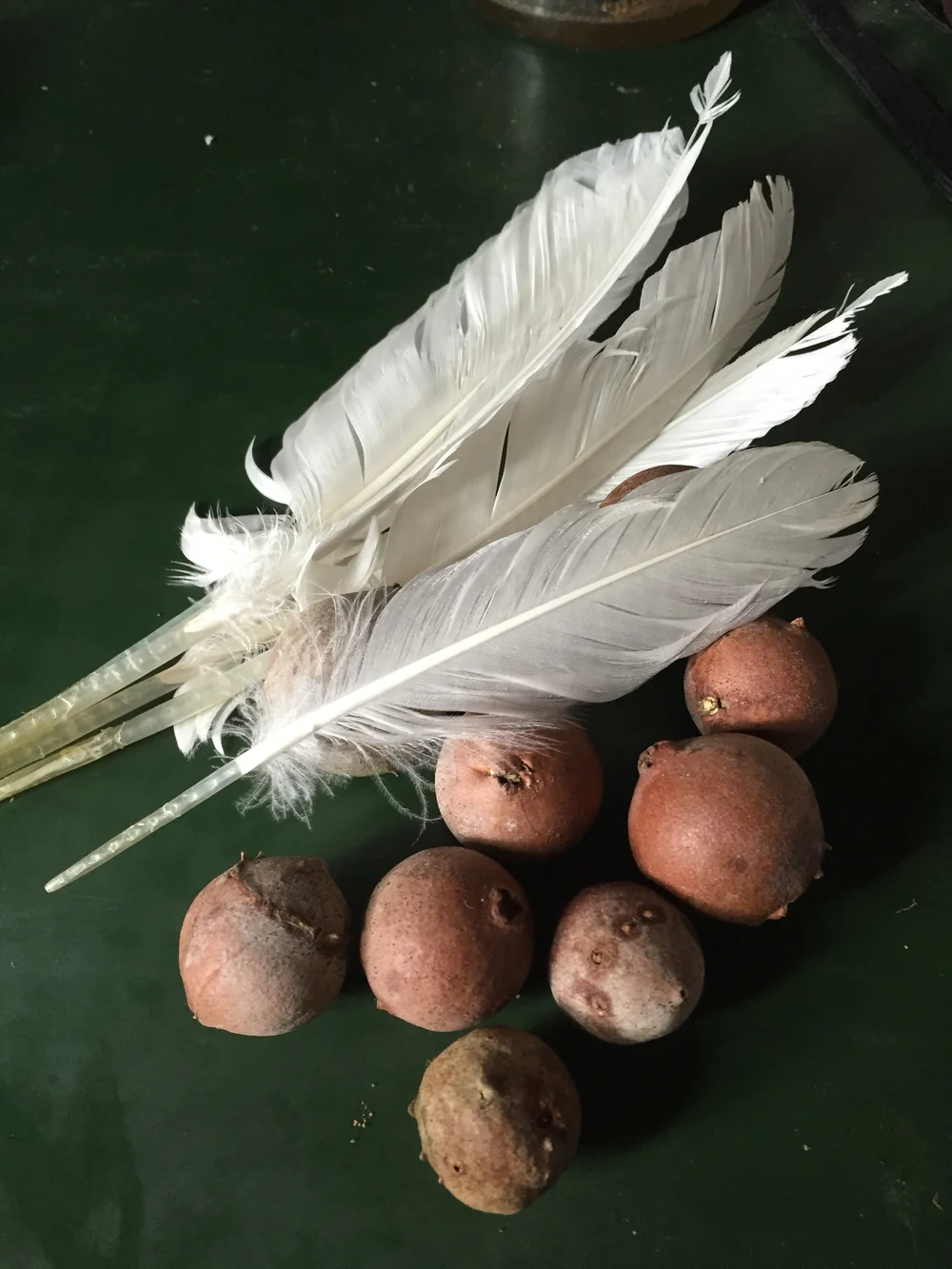 oak galls and goose quills