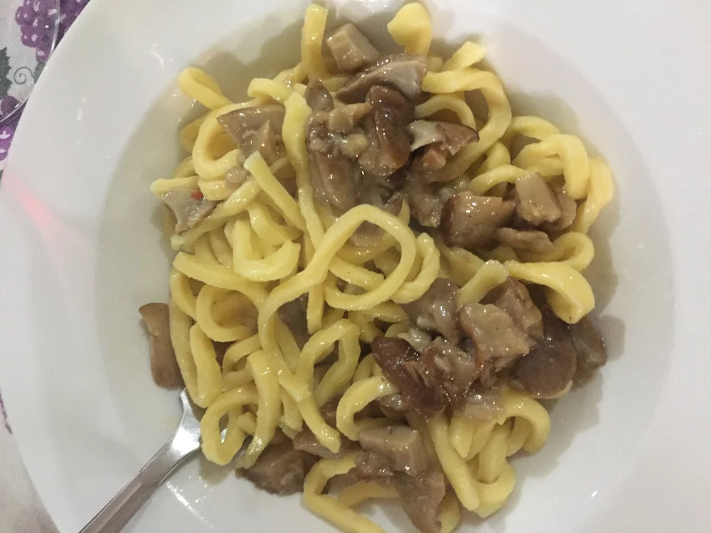 pasta with porcini mushrooms