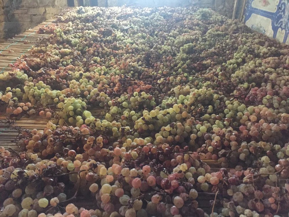 Vin Santo grapes drying