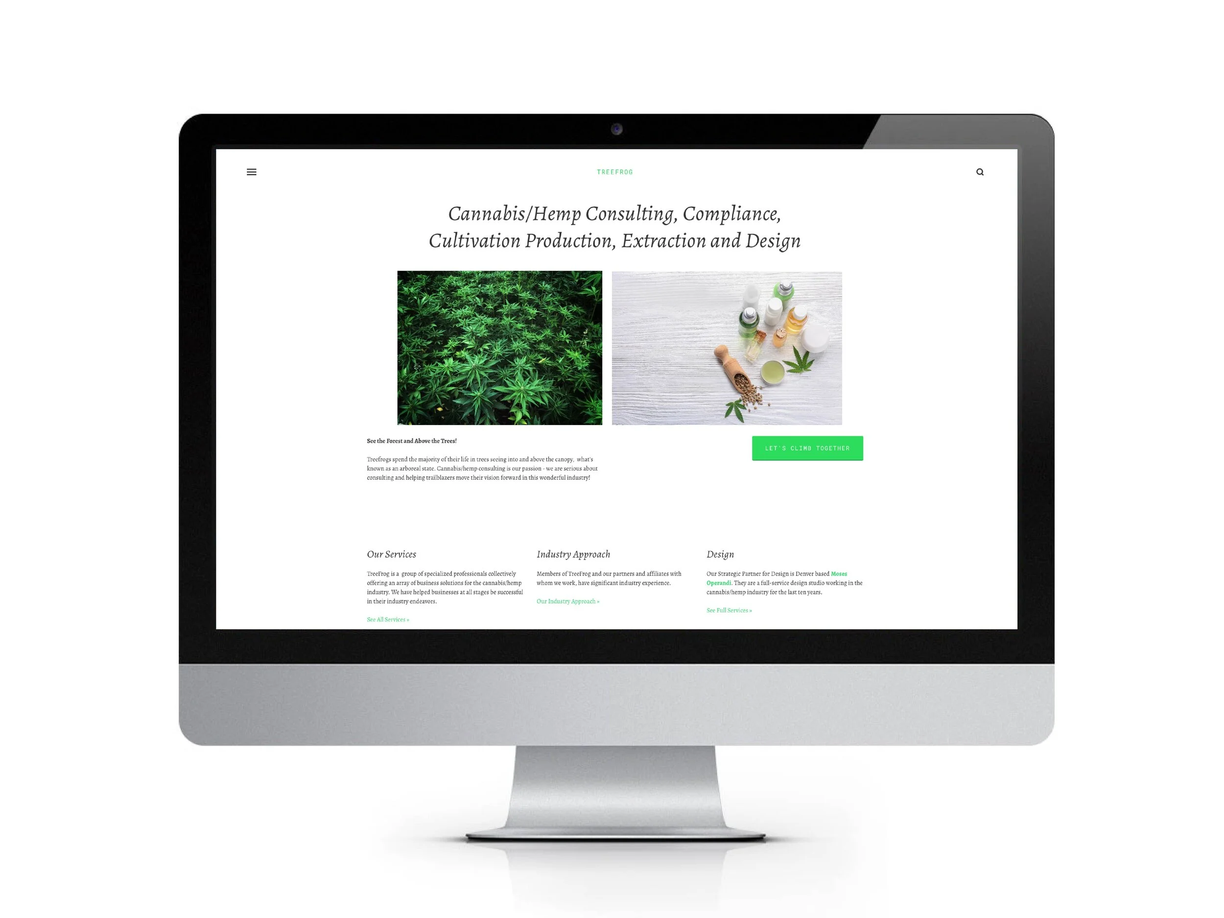 TreeFrogWebsite-01.jpg