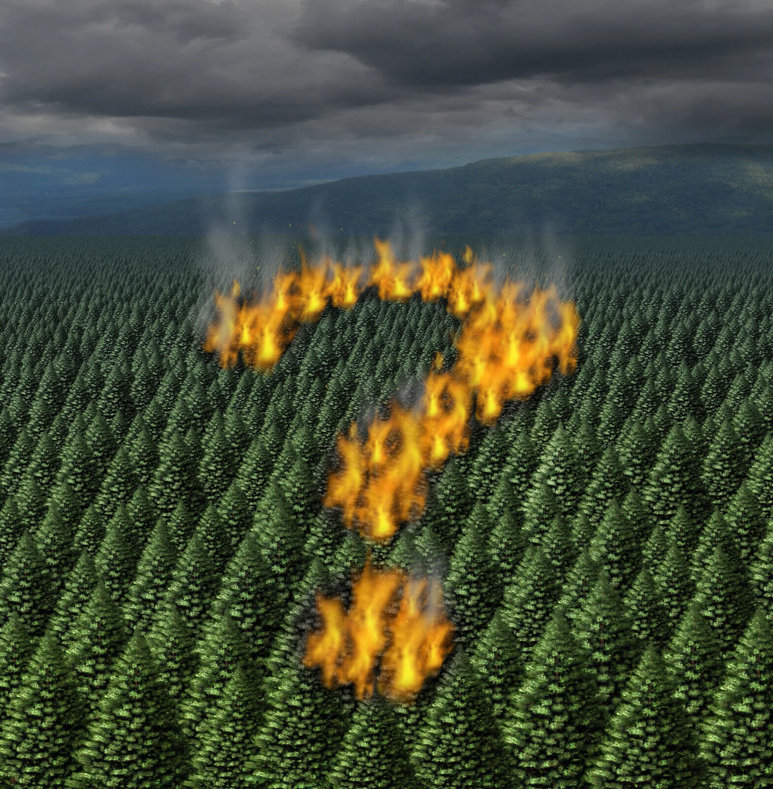 Three Things Every Douglas County Horse Owner Should Know About Preparing For Forest Fires