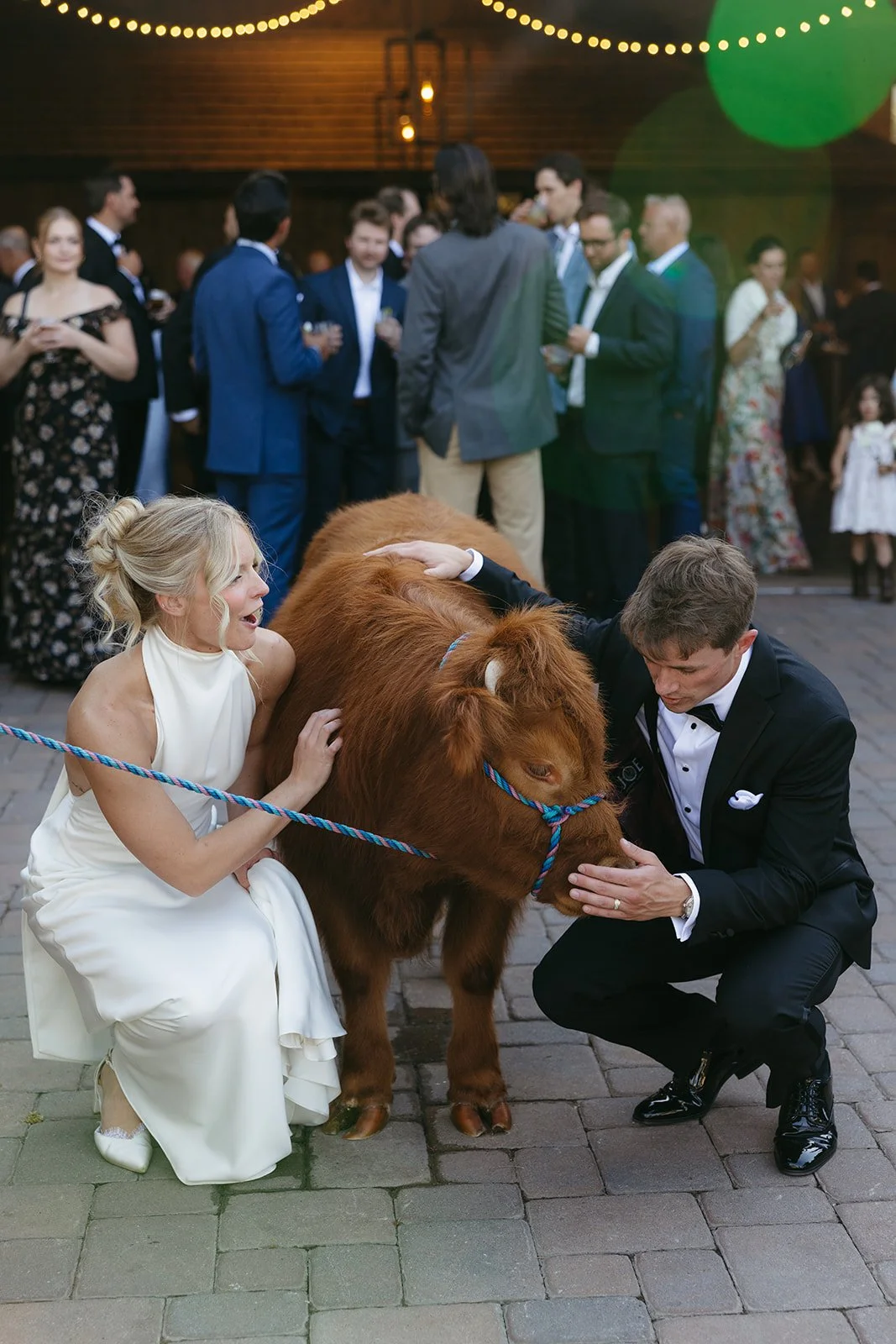 2026 - Weddings! A new adventure 