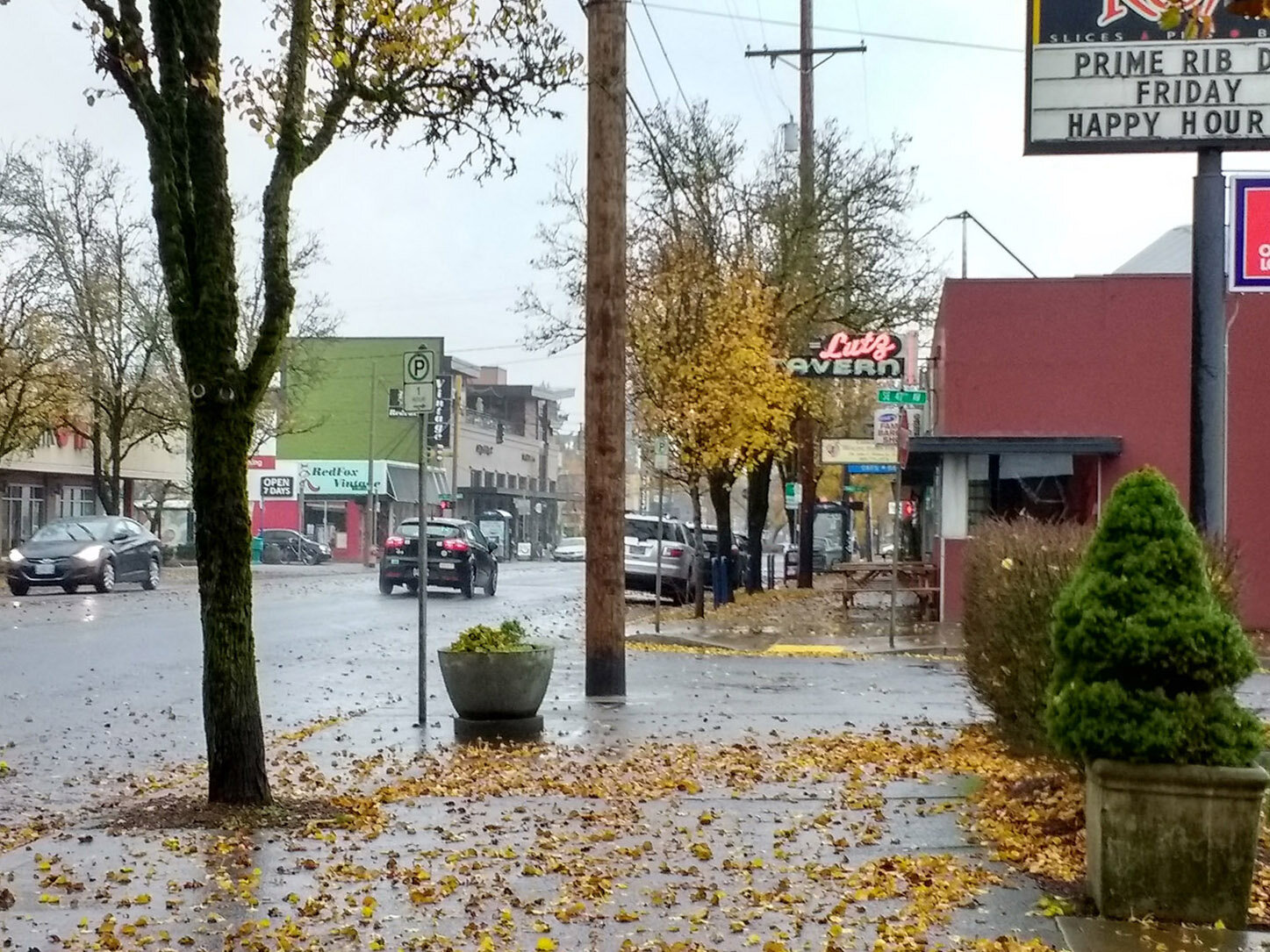 Lutz_streetscape_rainy_fall.jpg