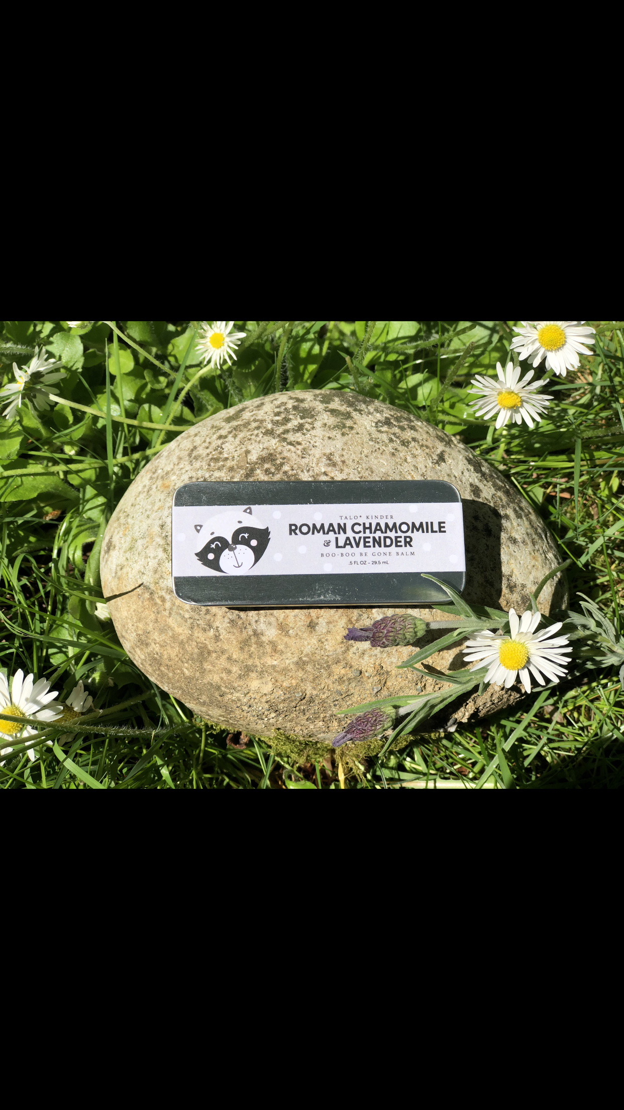 E309A34E-BC41-47D5-BB92-DB7B502BEA7D