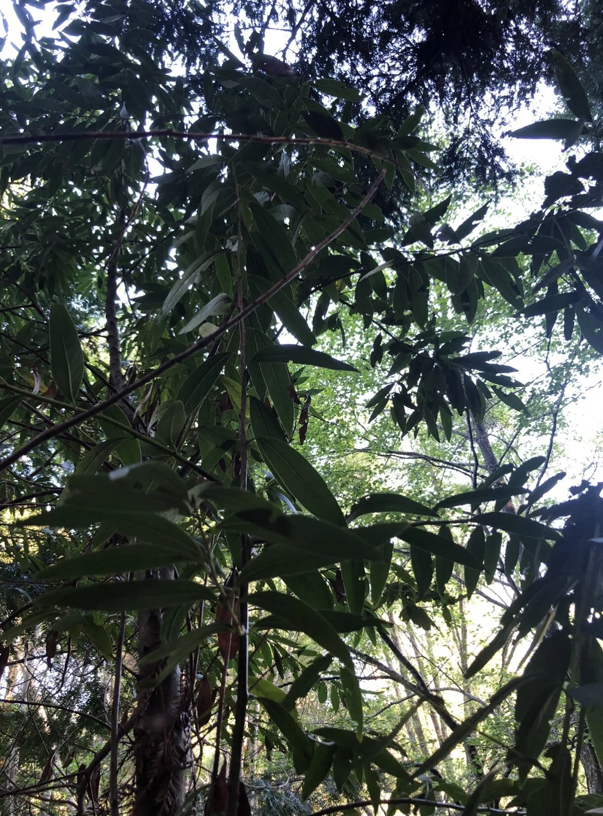 C0BDA7AB-D10F-45B0-AE21-540123A15EE5