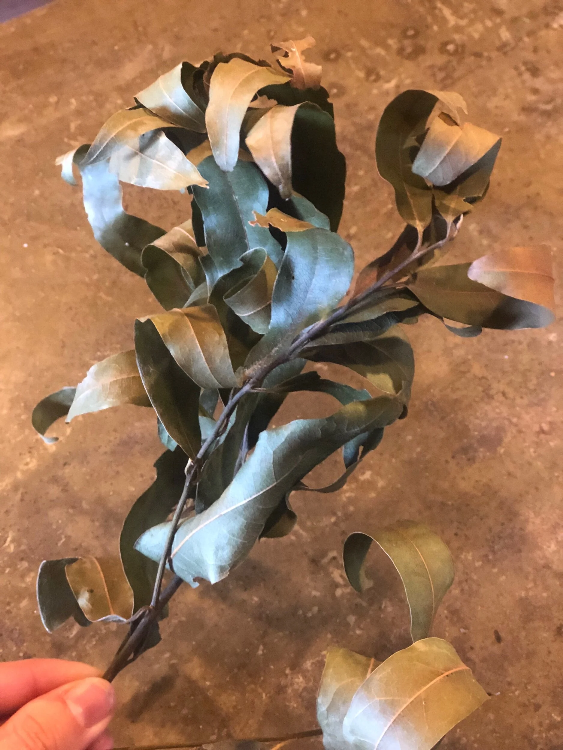 E06B1FA0-0207-4E7C-BE0D-1EDE80F2CA09