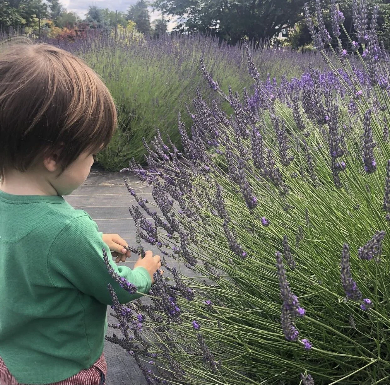 6E36DEFE-D539-465F-8FA3-699A15728618