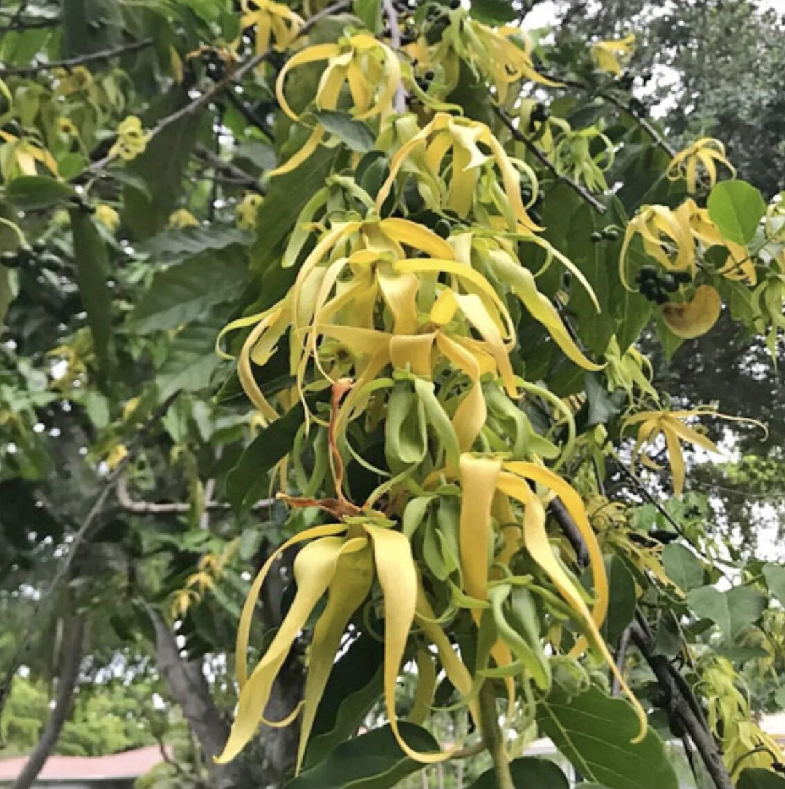 06570205-00A6-40CE-AD43-AC4CCC89B3A6