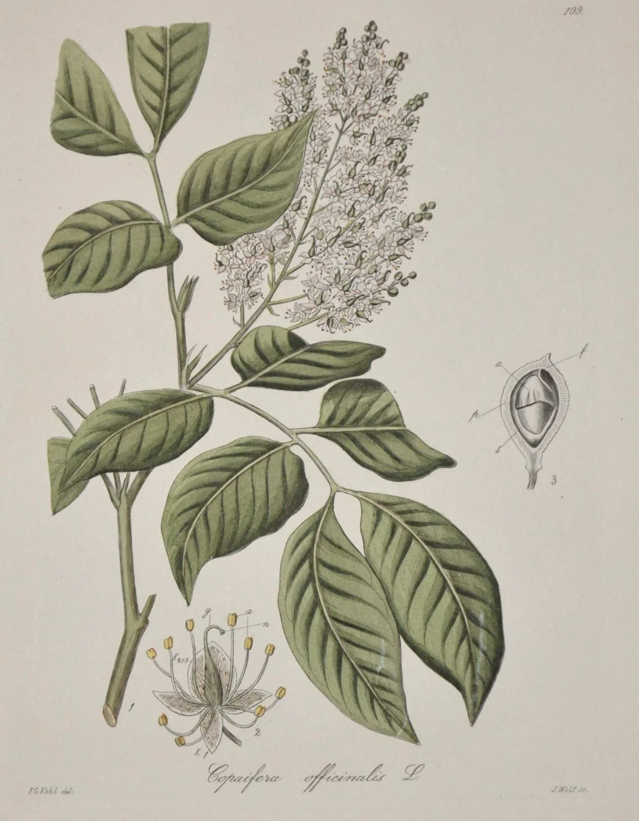 19A98233-8283-4A7E-8E5B-A9F48F7233C0