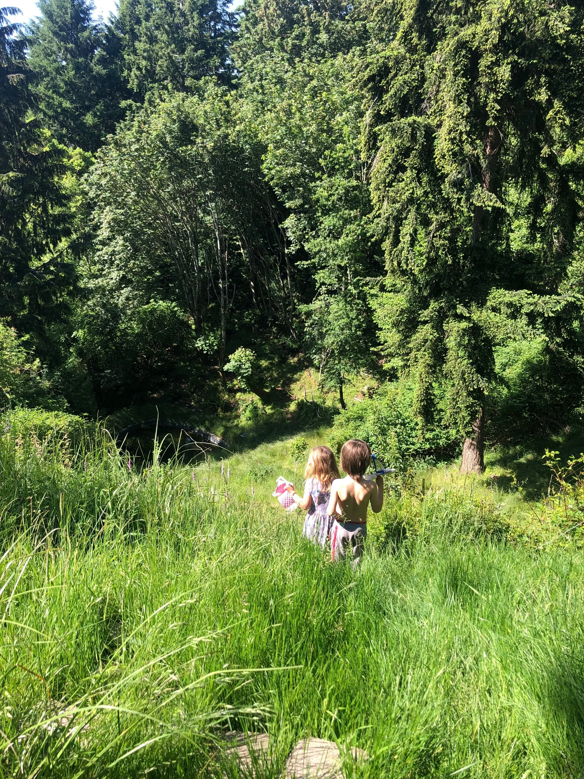 15FBE794-6524-4E84-A12E-AA420DE5BF6D