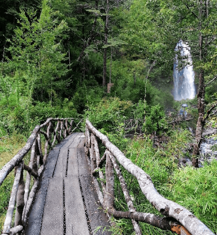 Hot springs close to Villarrica-min.png