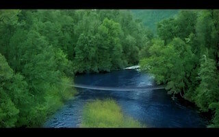 Bridge in the biological reserve .jpg