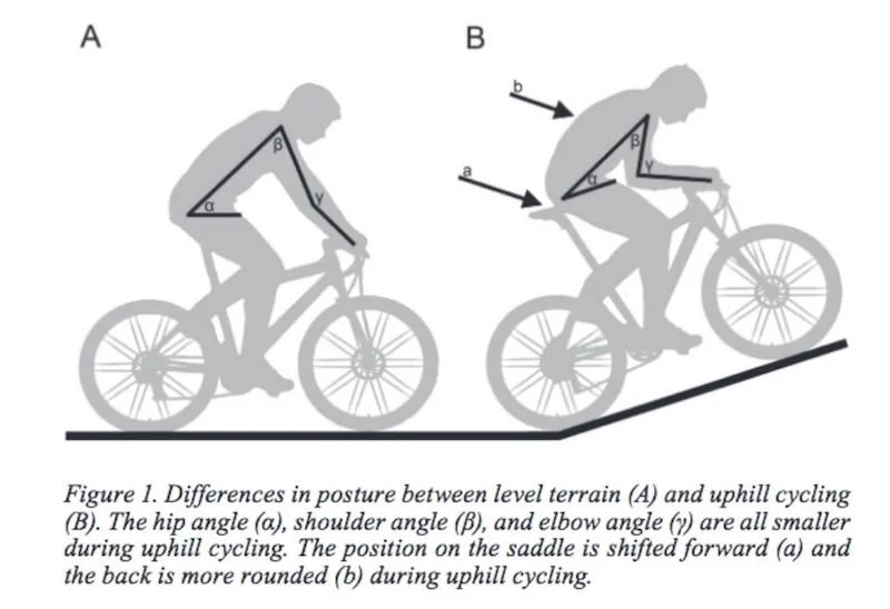Best Bike For Uphill Mountain Bike Uphill Gear Hotsell