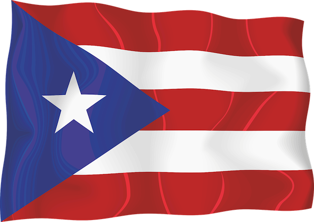 puerto rico flag.png