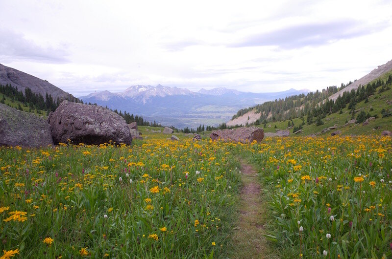 trail telluride.jpeg