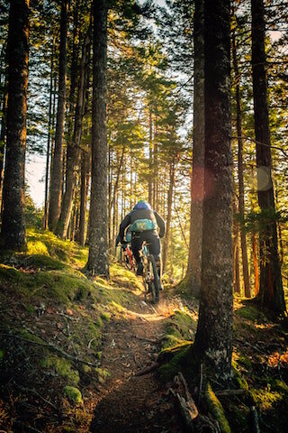 Bike Tour Single Track Mountain Bike Trails Near Me Bentonville