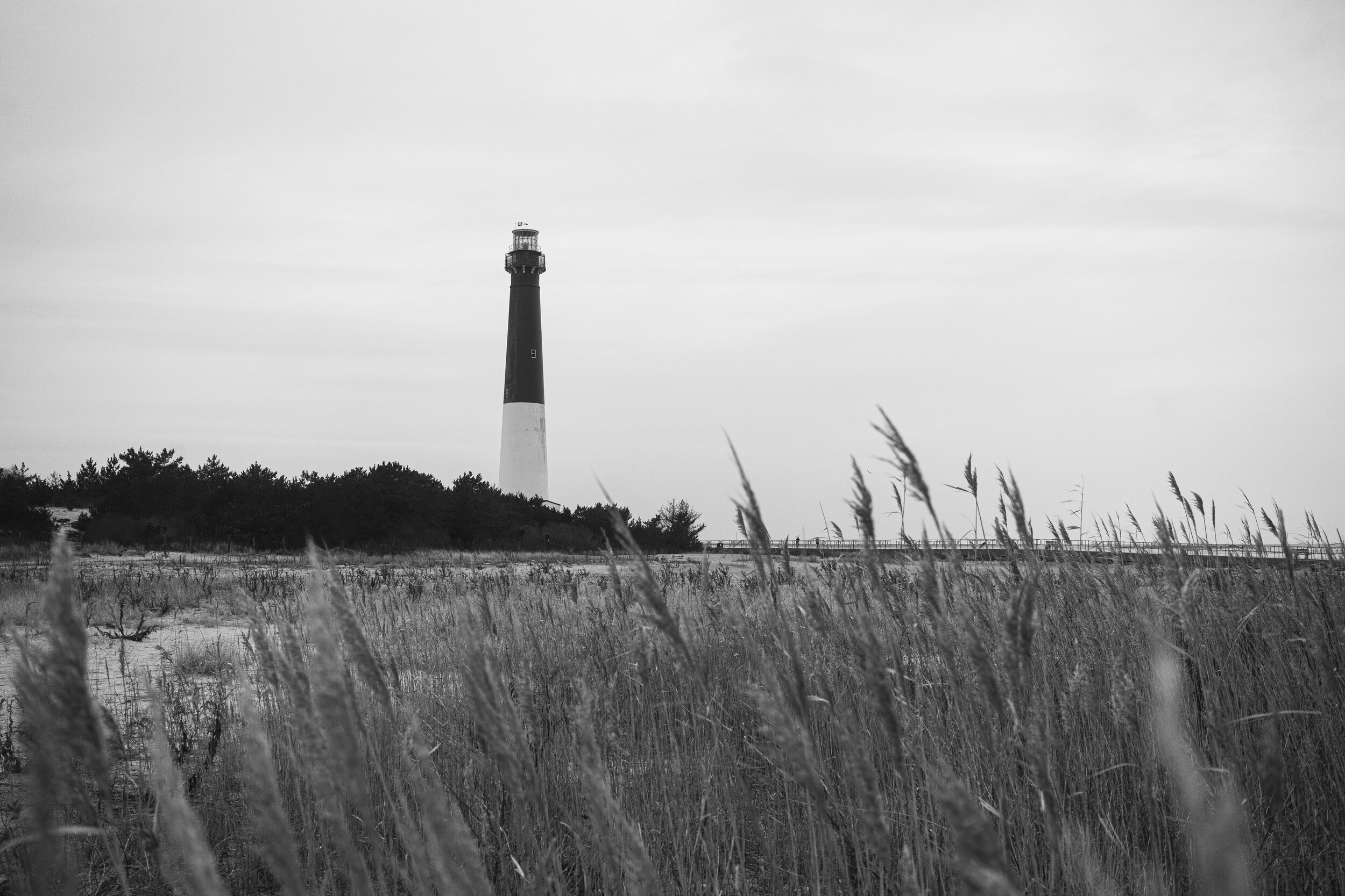 Barnegat Lighthouse State Park - Jan 2021