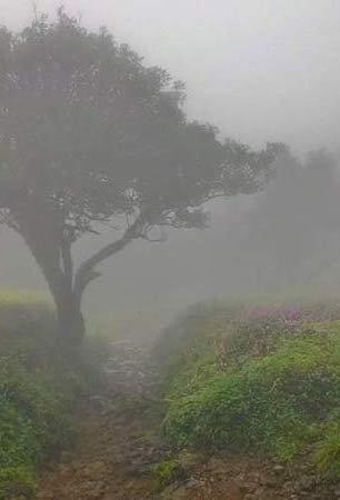 Jagat Guru Adi Shankaracharya – जगदगुरु आदि शङ्कराचार्य An Epitome of Freedom and Possibility