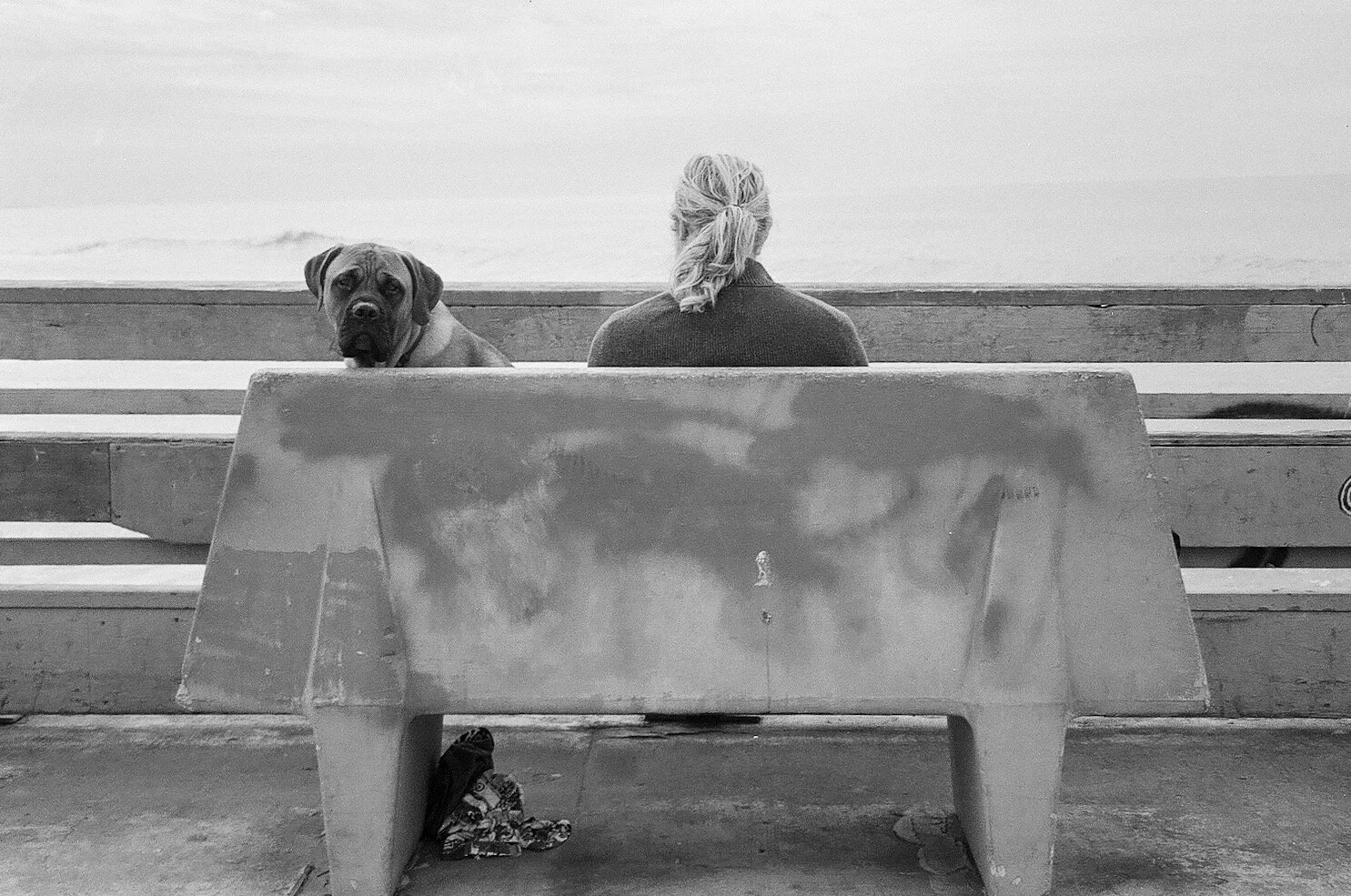 Ocean Beach, San Diego