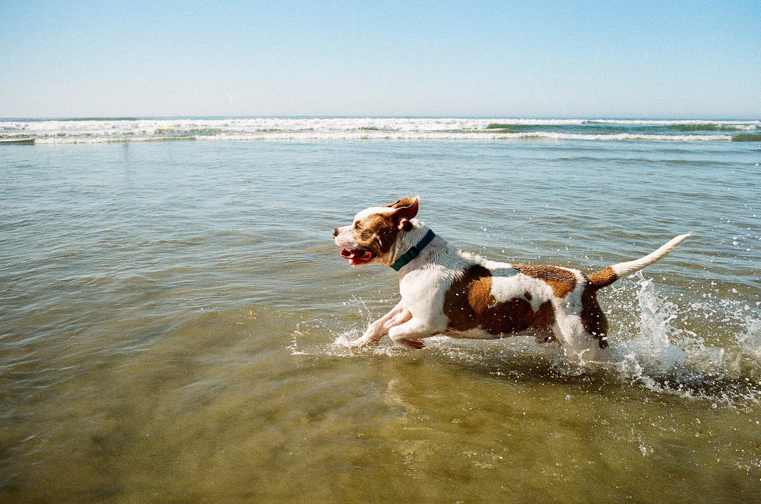 Solana Beach, California