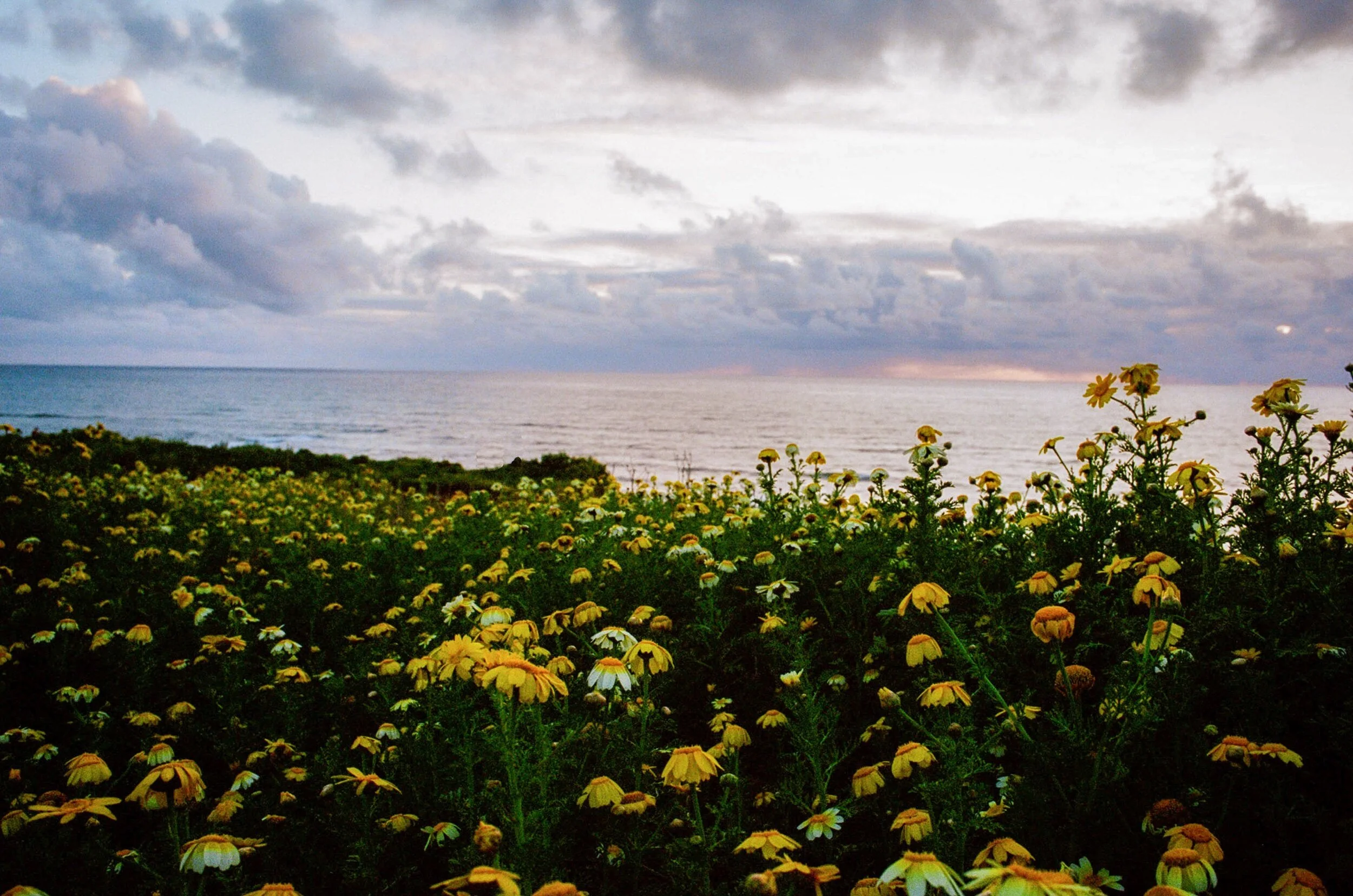 Point Loma, San Diego