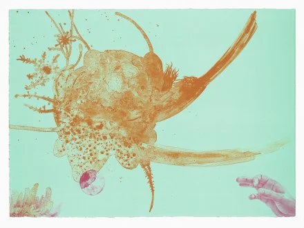 Microscopic view of a biological specimen, showing detailed cellular structures and a pinkish-blue area at the bottom left.